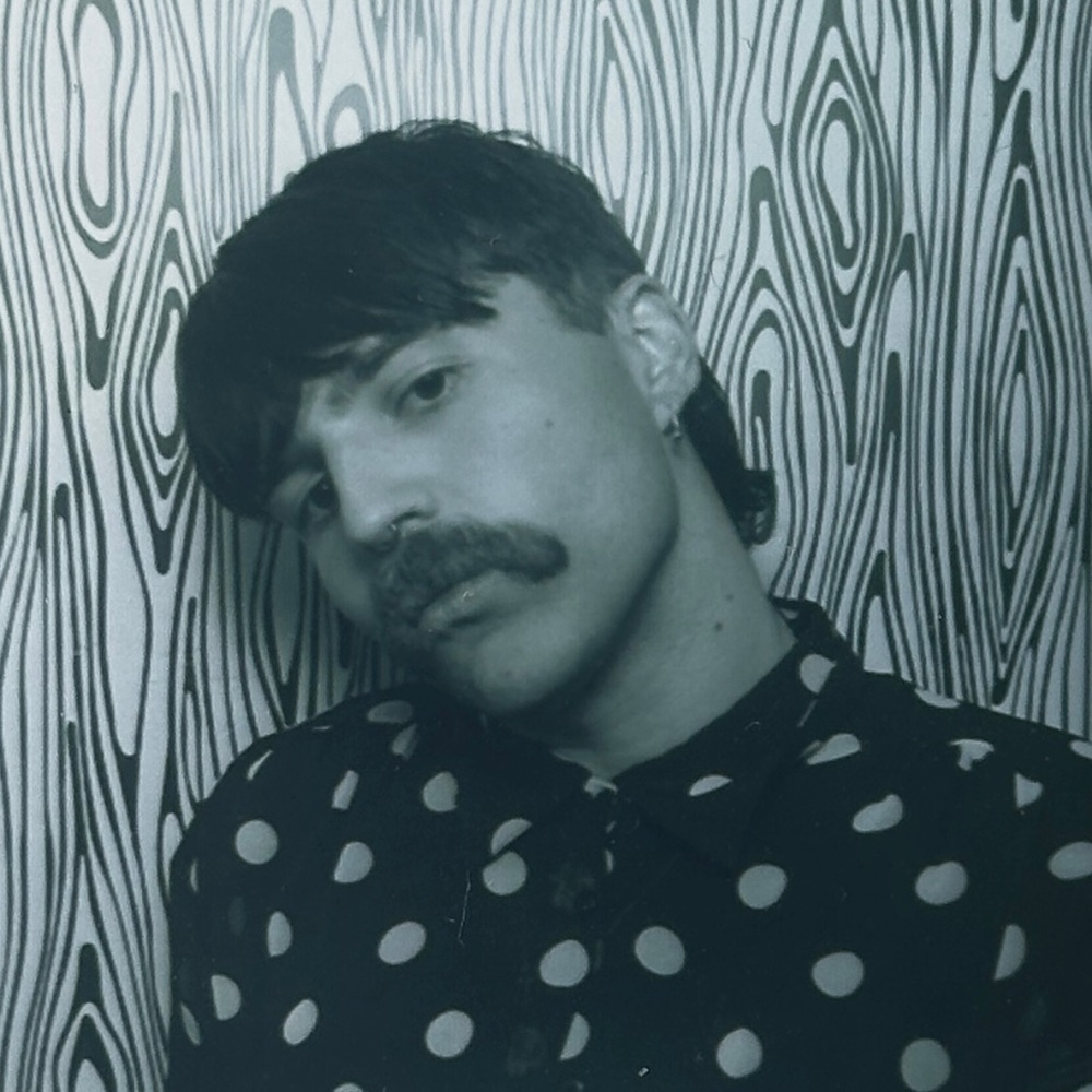 Meet your Posher, Ant